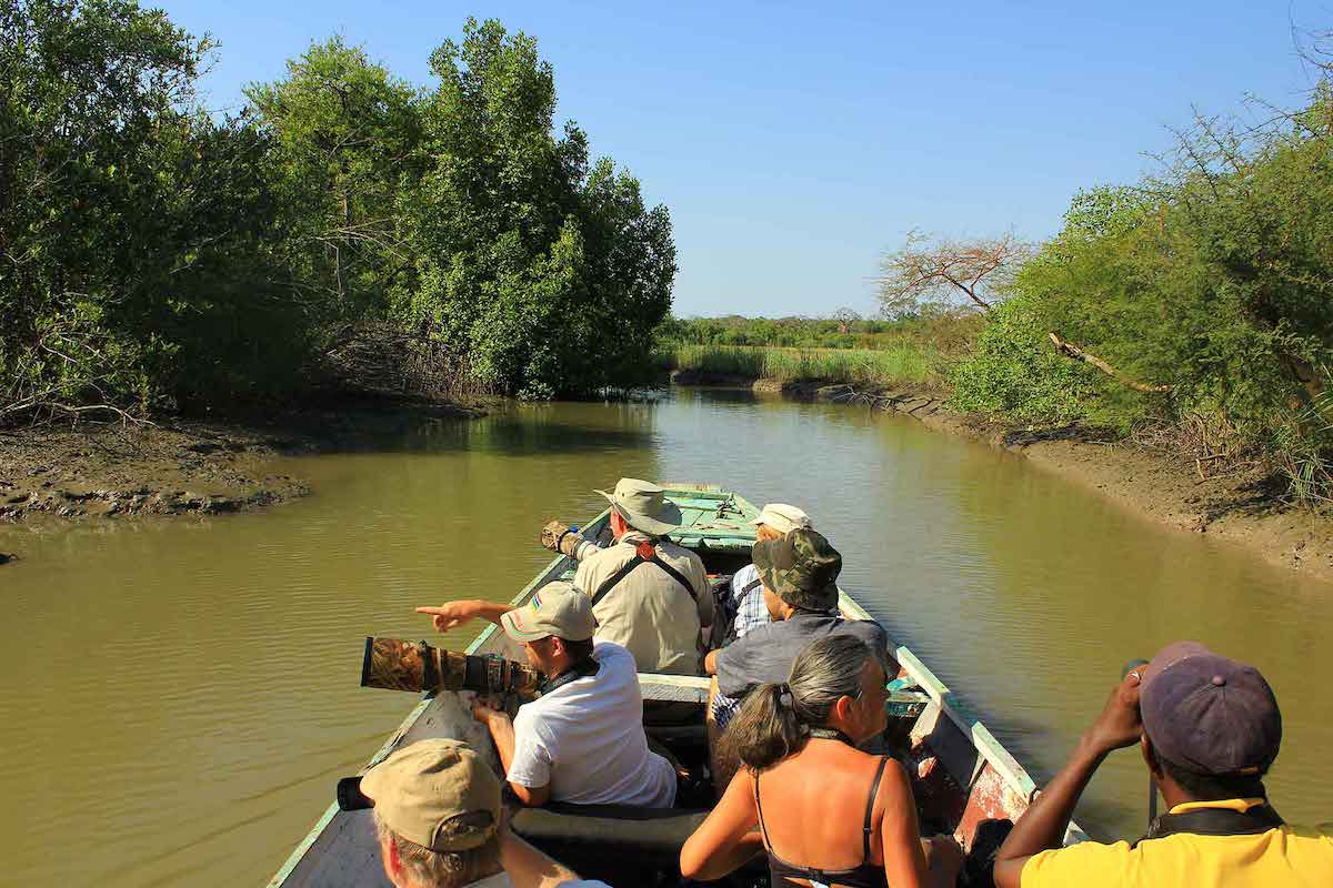 gambia experience excursions